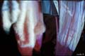 Xara06_044