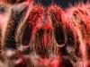I Would Be Horrified If I Woke Up With This On Me!