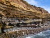 Sunset Cliffs